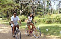 Fietsers